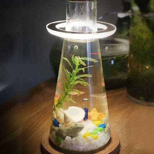 Lampe annulaire croissance - annulaire, à