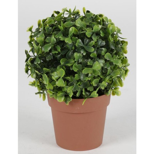 Buis artificiel pot plantes - buis, en