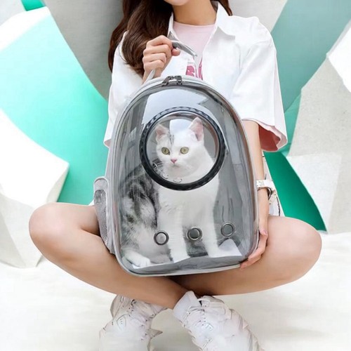Sac dos transport chat - transport,