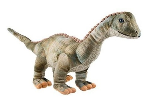 Clever creations dinosaure - clever,