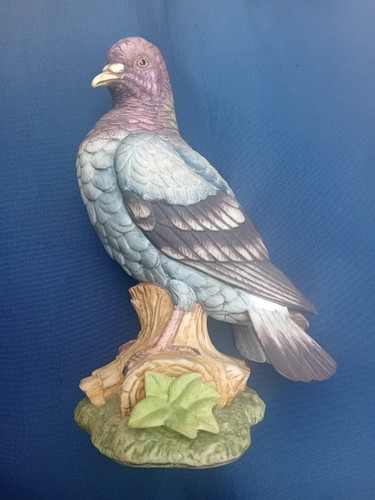 1970 superbe pigeon - superbe, en