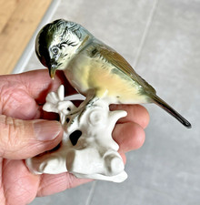 Mésange perchée  en