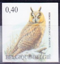 Belgique**HIBOU-BUZIN-NON