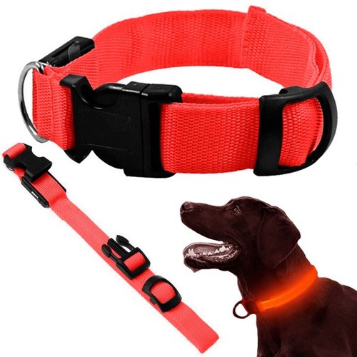 Collier led lumineux chien - collier,