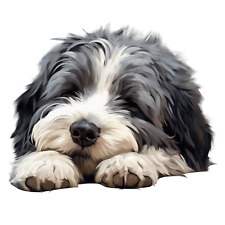 XXL Sleeping Dog Polski Owczarek Nizinny Car Sticker Dogs Large Sticker