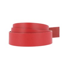 Lanière en cuir de collet