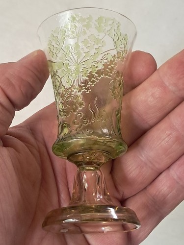 Verre aux ombelles emile - verre,