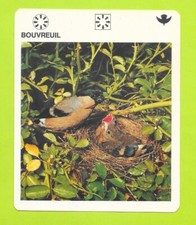 Fact sheet - Le livre de Paris - 1975 - Bouvreuil
