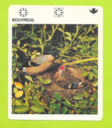 Fiche livre paris - -, de
