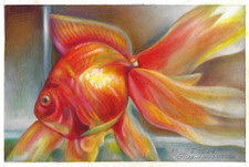 Poisson rouge dessin original