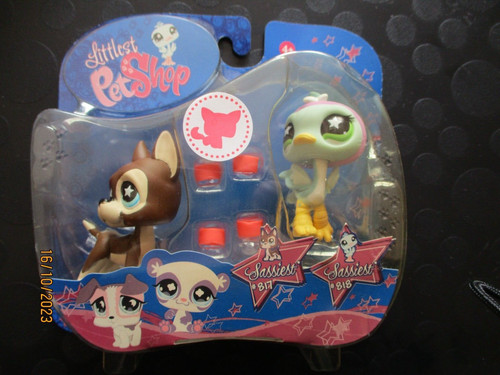 Petshop duo chien - :,