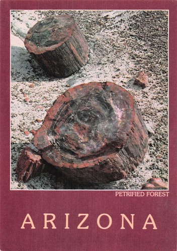 Etats unis petrified forest - unis,