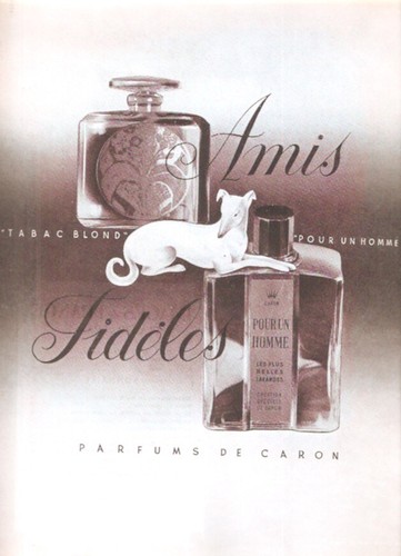 Publicite parfum perfume - ad,