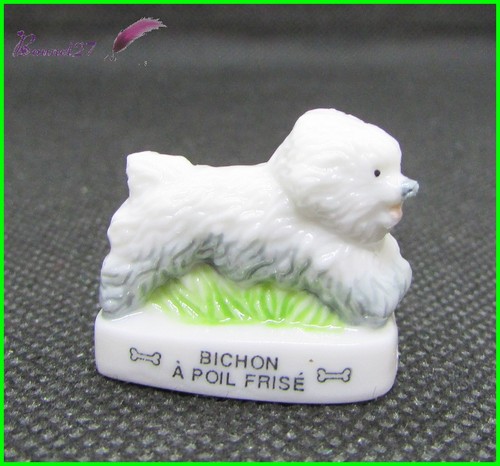 Feve les races chien - feve,