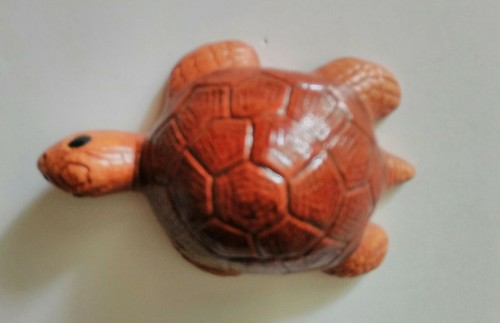 Tortue collection terre - tortue,