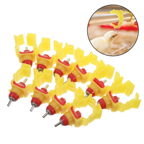 Pcs abrevoir poule - 10,