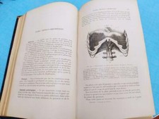 Livre de Médecine, Chirurgie
