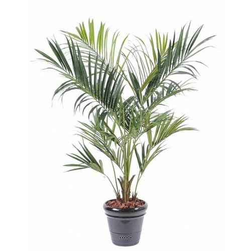 Palmier kentia artificiel - palmier,