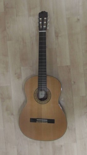Guitare acoustique vintage