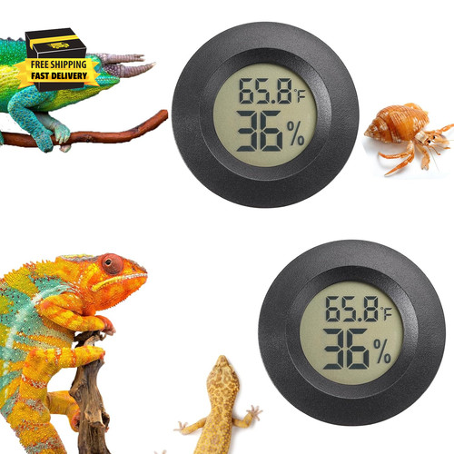 Reptile thermometer and - reptile,
