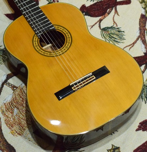 Guitare acoustique takamine - acoustique,