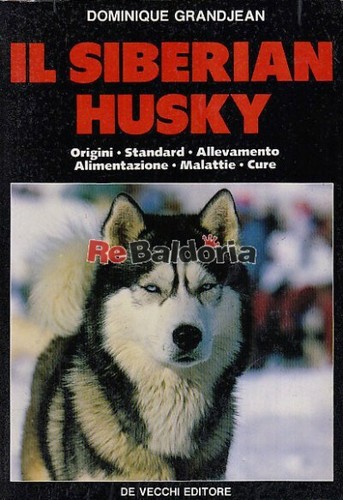 Siberian husky vecchi - husky,