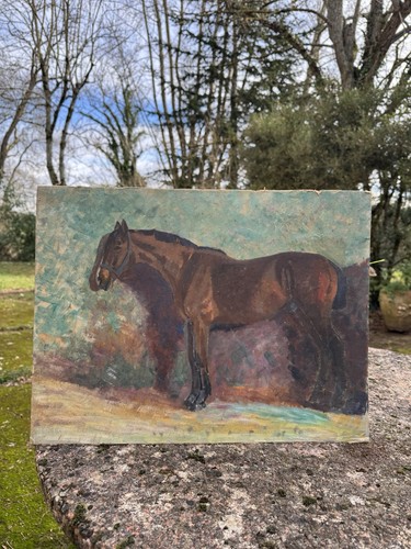 Horse study late 19th - study,