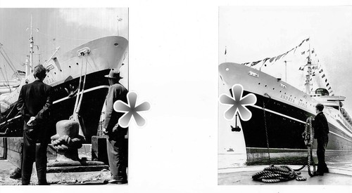 Lot photos catastrophe - 30,