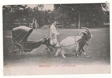 CPA SUISSE - ATTELAGE 