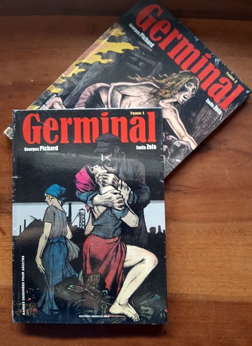 Lot des tomes germinal - 2,
