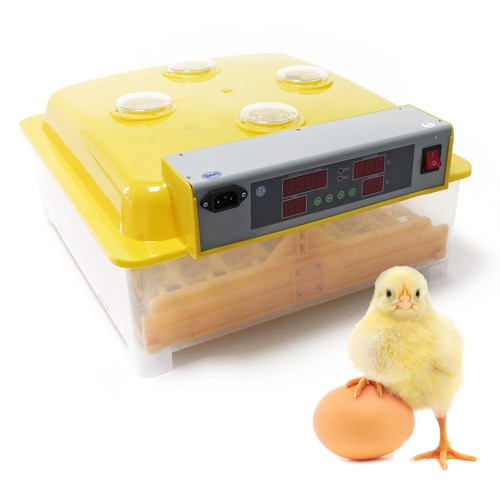 Couveuse automatique oeufs - 48,