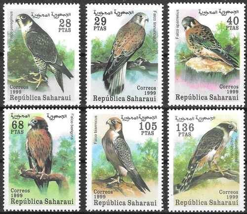 Timbres oiseaux rapaces sahara - oiseaux,