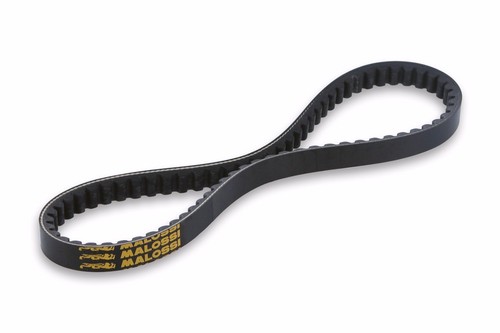 Courroie malossi belt - x, k