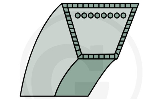 Courroie trapezoïdale pour - trapezoïdale,