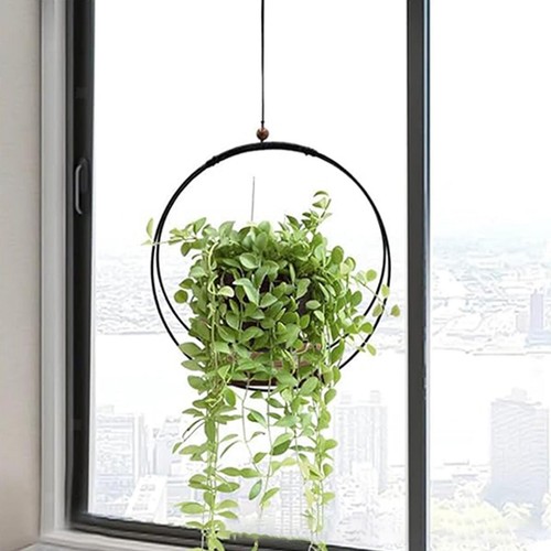 Pot fleurs suspendu - pot, de