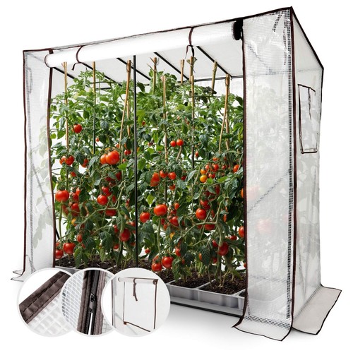 Arebos serre tomates - serre,