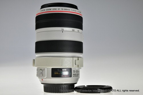 Canon 300mm 5 6 l - ef,