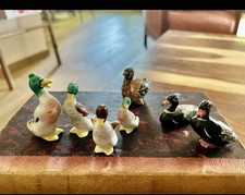 Collection de 7 canards