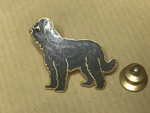 Pins chien briard - briard, de