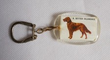 Porte-clés Chien Setter