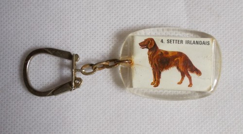 Porte clés chien setter - porte-clés,