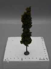 Arbre peuplier avec pied 13.5