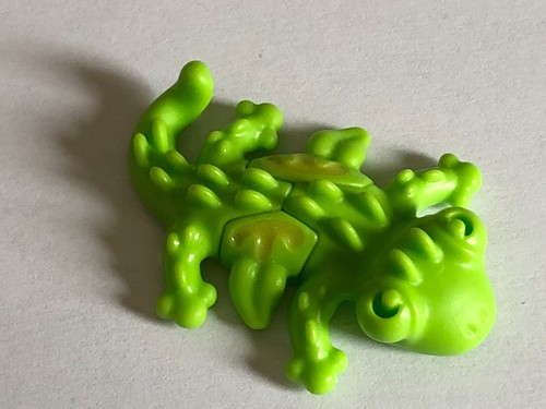 Lem1 kinder 2022 lezard - ,