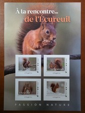 France Collector Ecureuil