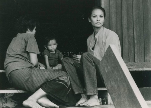Laura gemser international - gemser,