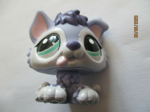 Petshop chiot husky 1810 - husky, n°1810