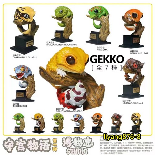 Pet gekko wall lizard reptilia - wall,
