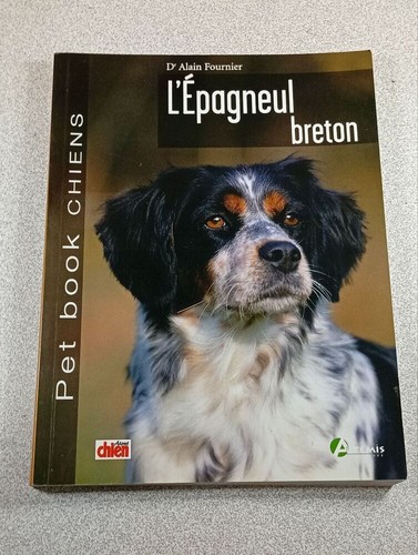 épagneul breton collectif - breton, |