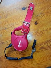 Ensemble laisse enrouleur +