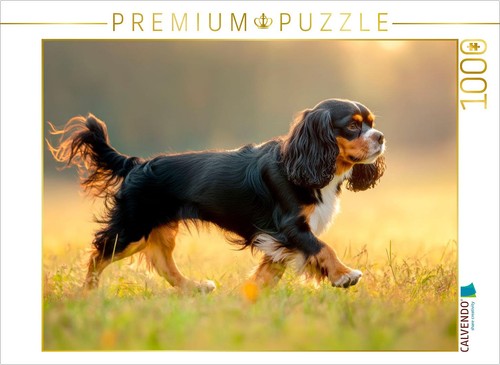 Calvendo puzzle cavalier - cavalier, king
